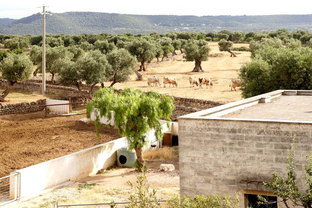 Masseria Curatori โมโนโปลี ภายนอก รูปภาพ