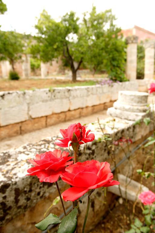 Masseria Curatori โมโนโปลี ภายนอก รูปภาพ