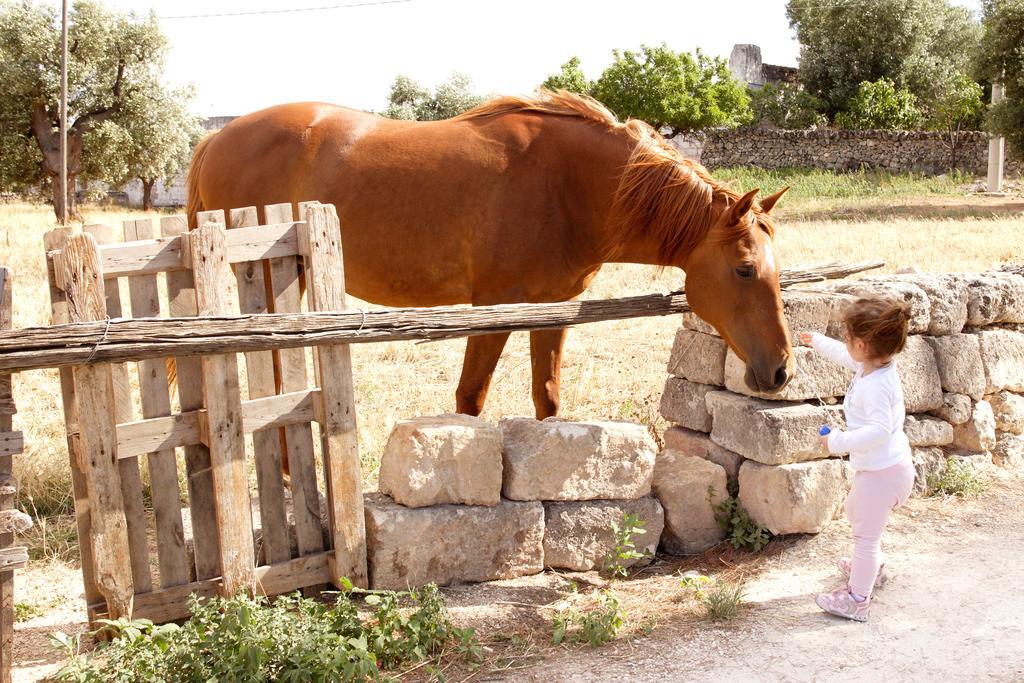Masseria Curatori โมโนโปลี ภายนอก รูปภาพ